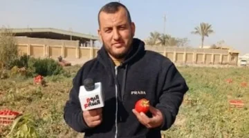 8 جنيهات للكيلو.. تراجع ملحوظ في أسعار الطماطم داخل أسواق الشرقية اليوم